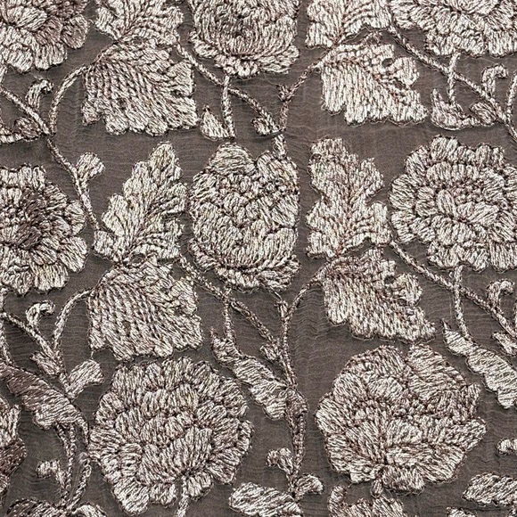 Sundance Angelica Dress Size PM Petite Medium Embroidered Overlay Lined Taupe - Picture 6 of 11